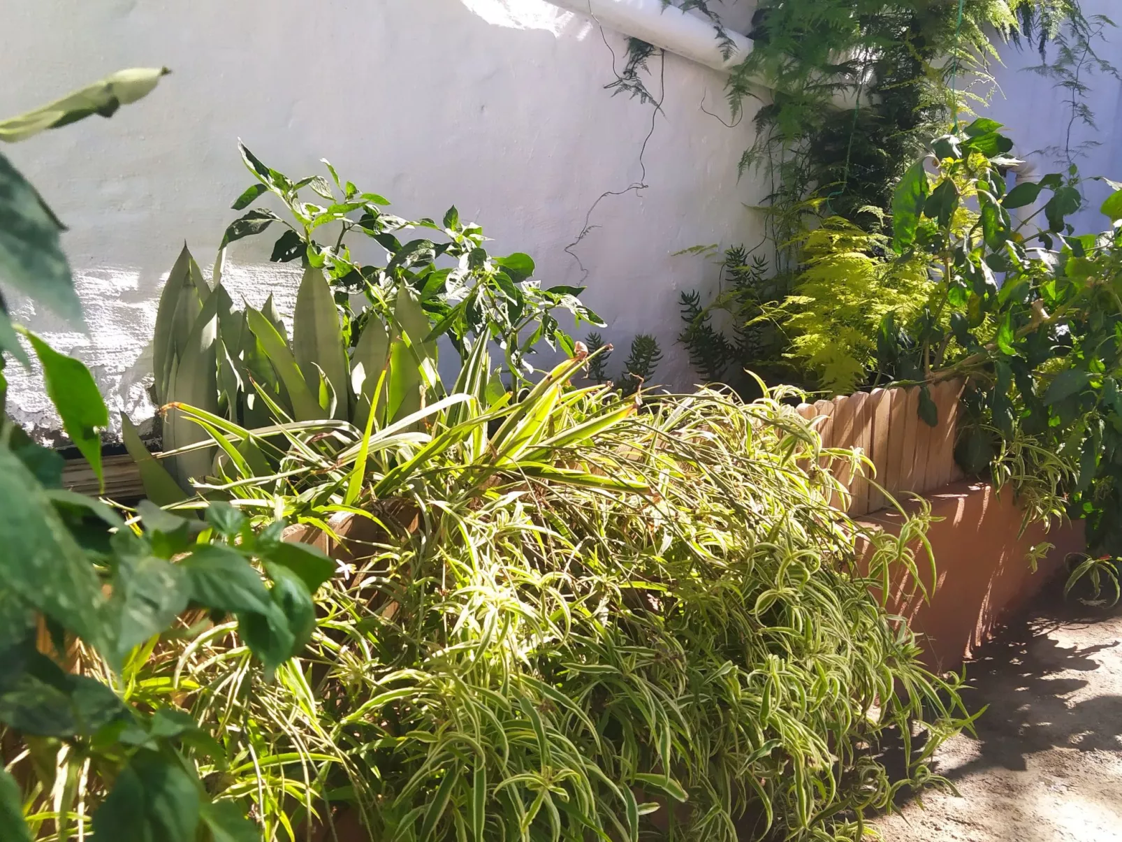 Edara Home - Haus mit privatem Garten-Draußen