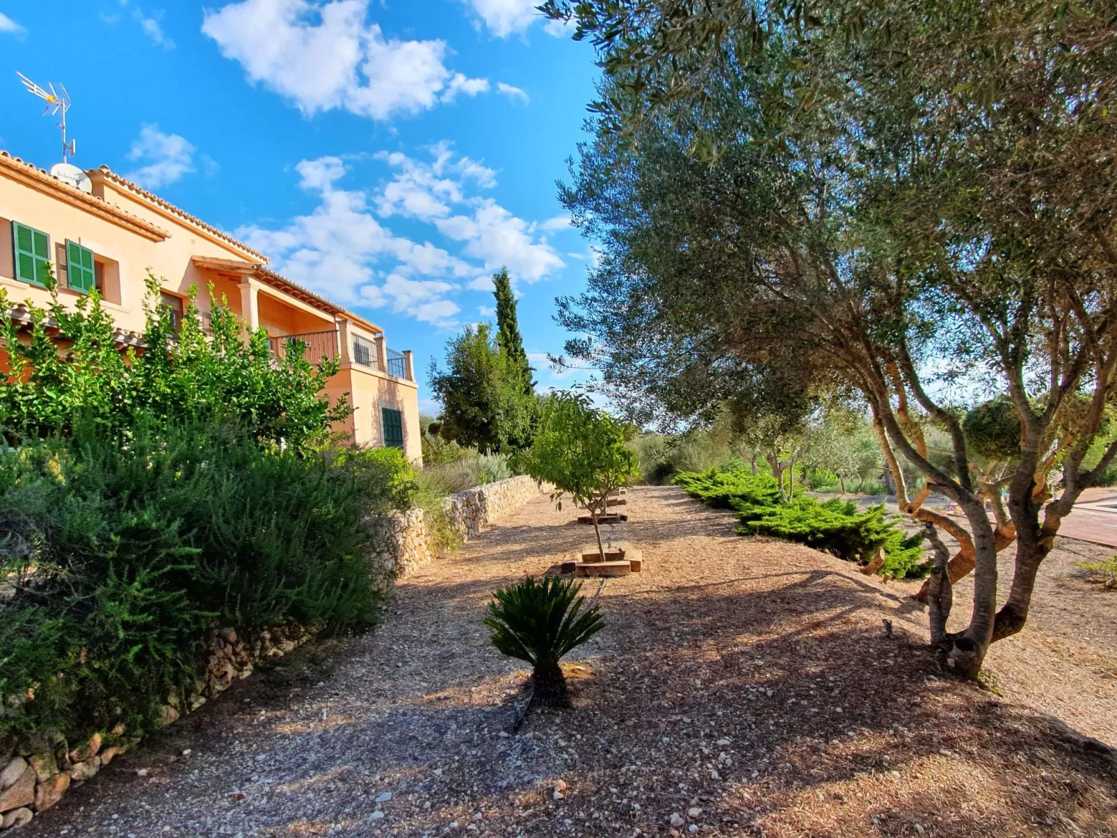 Finca Mallorquina-Draußen