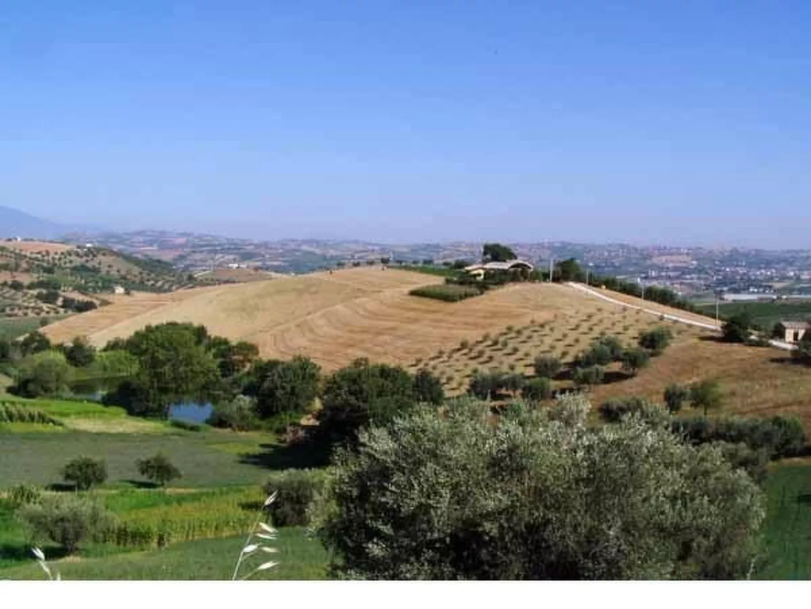 In Notaresco mit Grill und Garten-Draußen