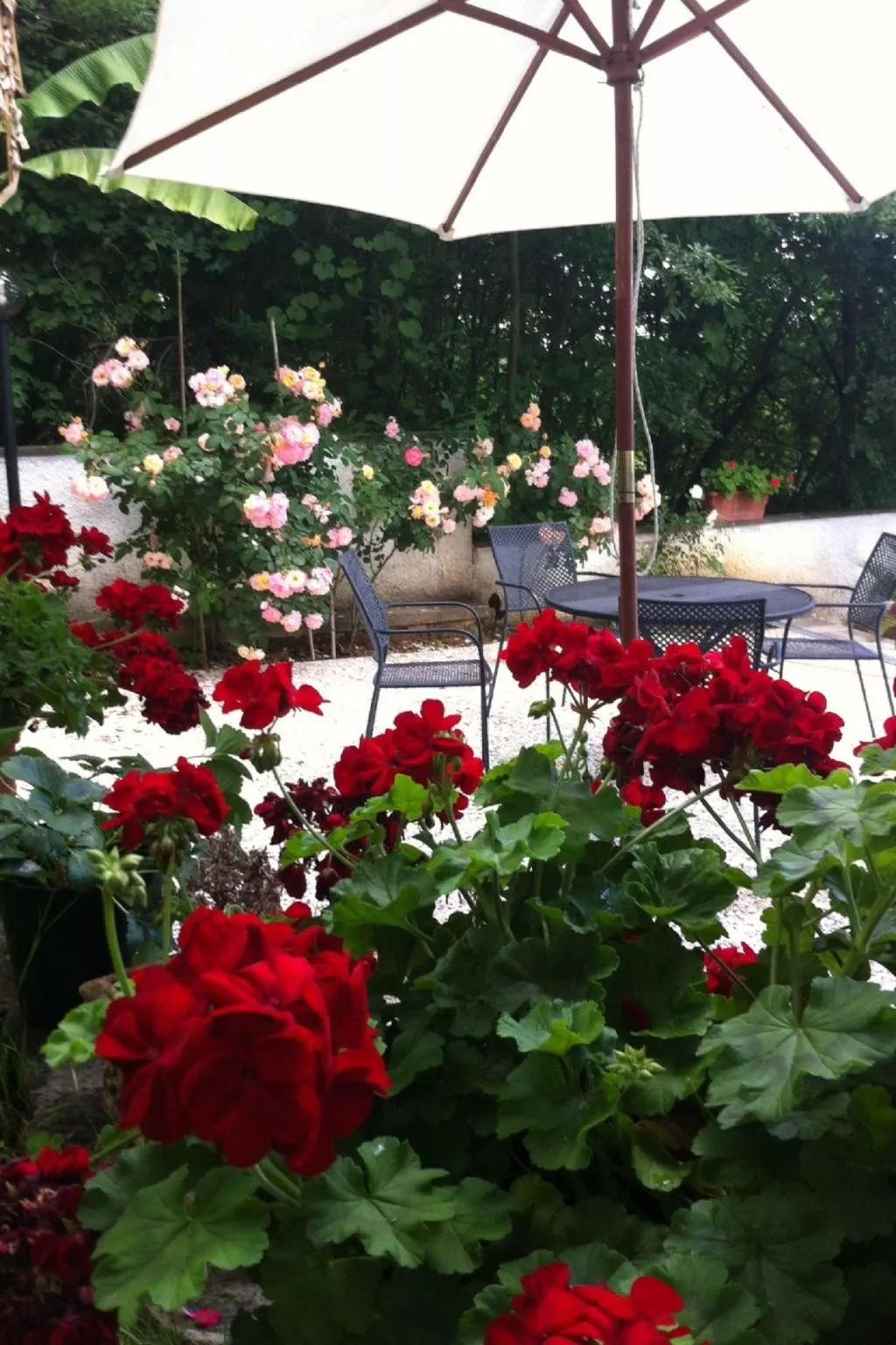 Villa 'Der Kirschbaum'-Image-tags.info