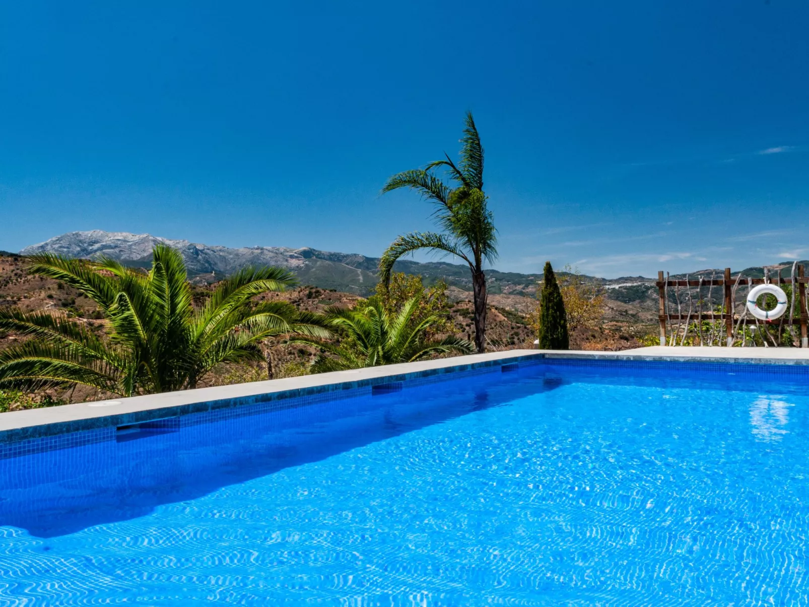 Seeadlerhorst-Image-tags.info