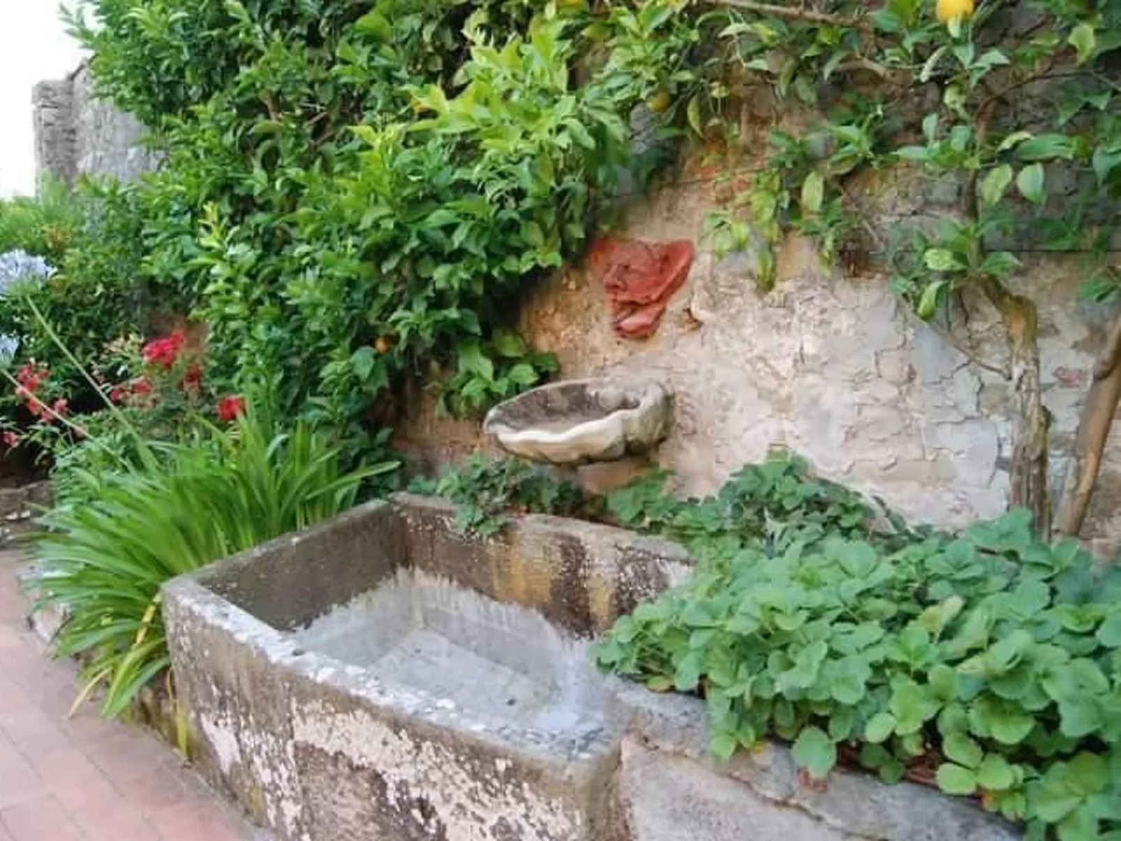 Wohnung "Il Cedro" Penthouse mit Aussicht-Draußen