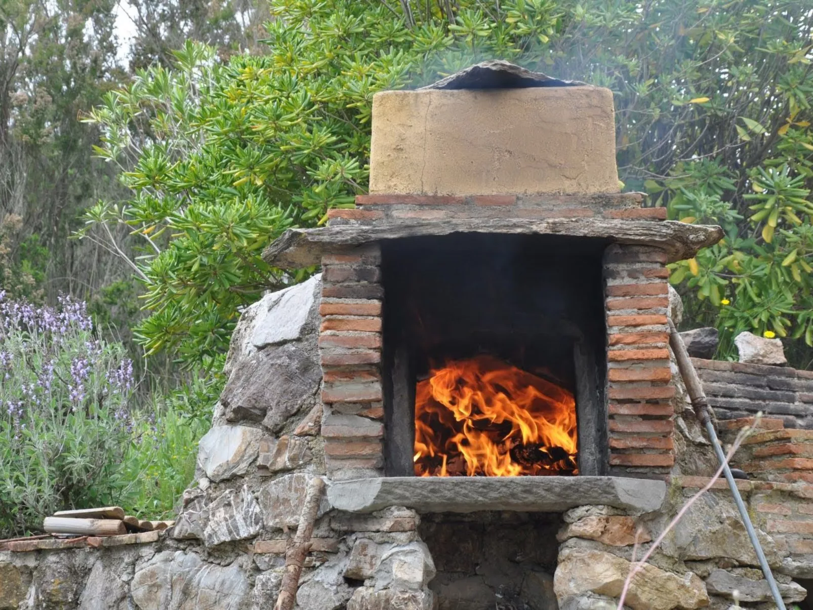 Exklusiv Ferienhaus Elba mit Panorama und Garten-Image-tags.info