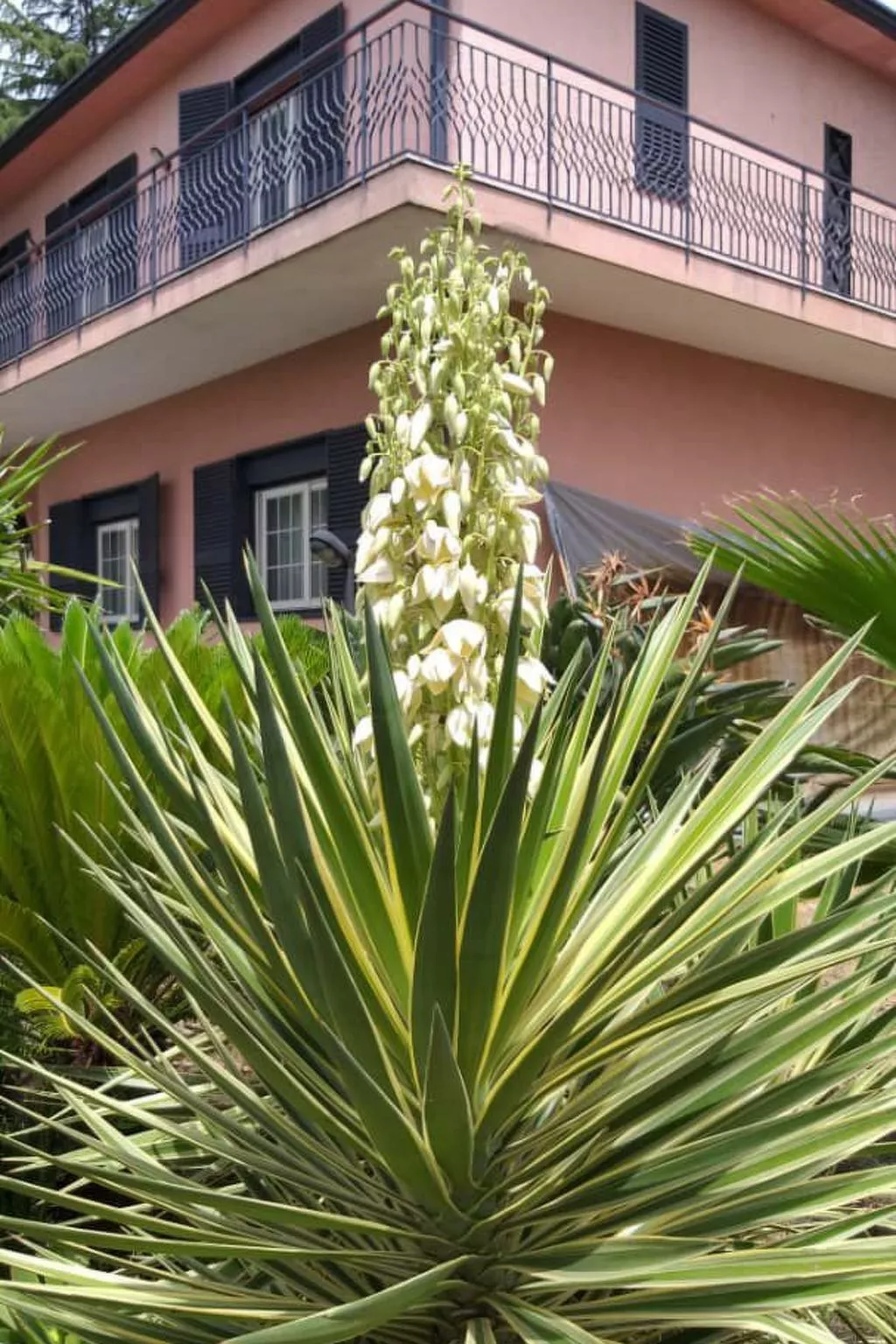 Sizilianisches Haus-Outside