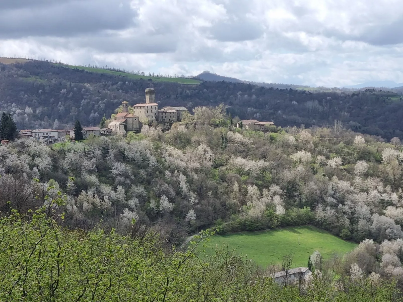 Cascina Bricco - San Giorgio Scarampi Wohnung-Draußen