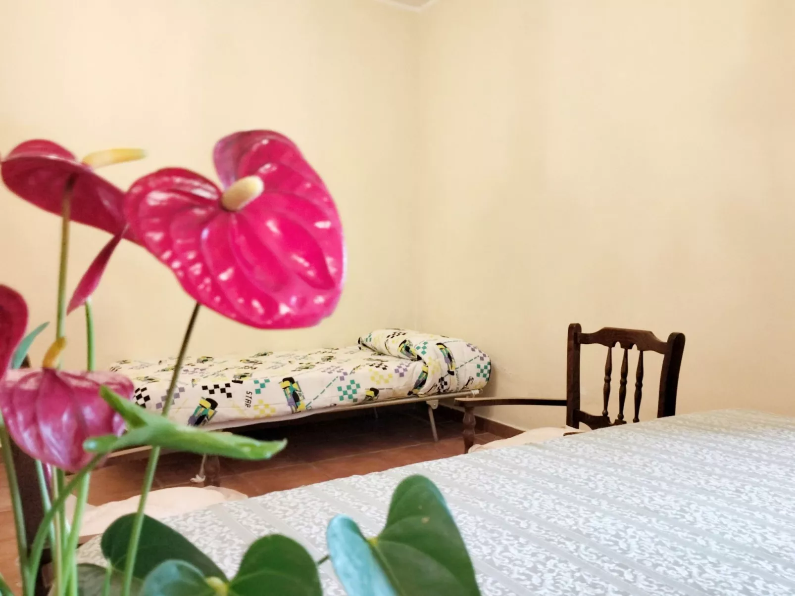 Wohnung Gli Archi del Casolare-Inside