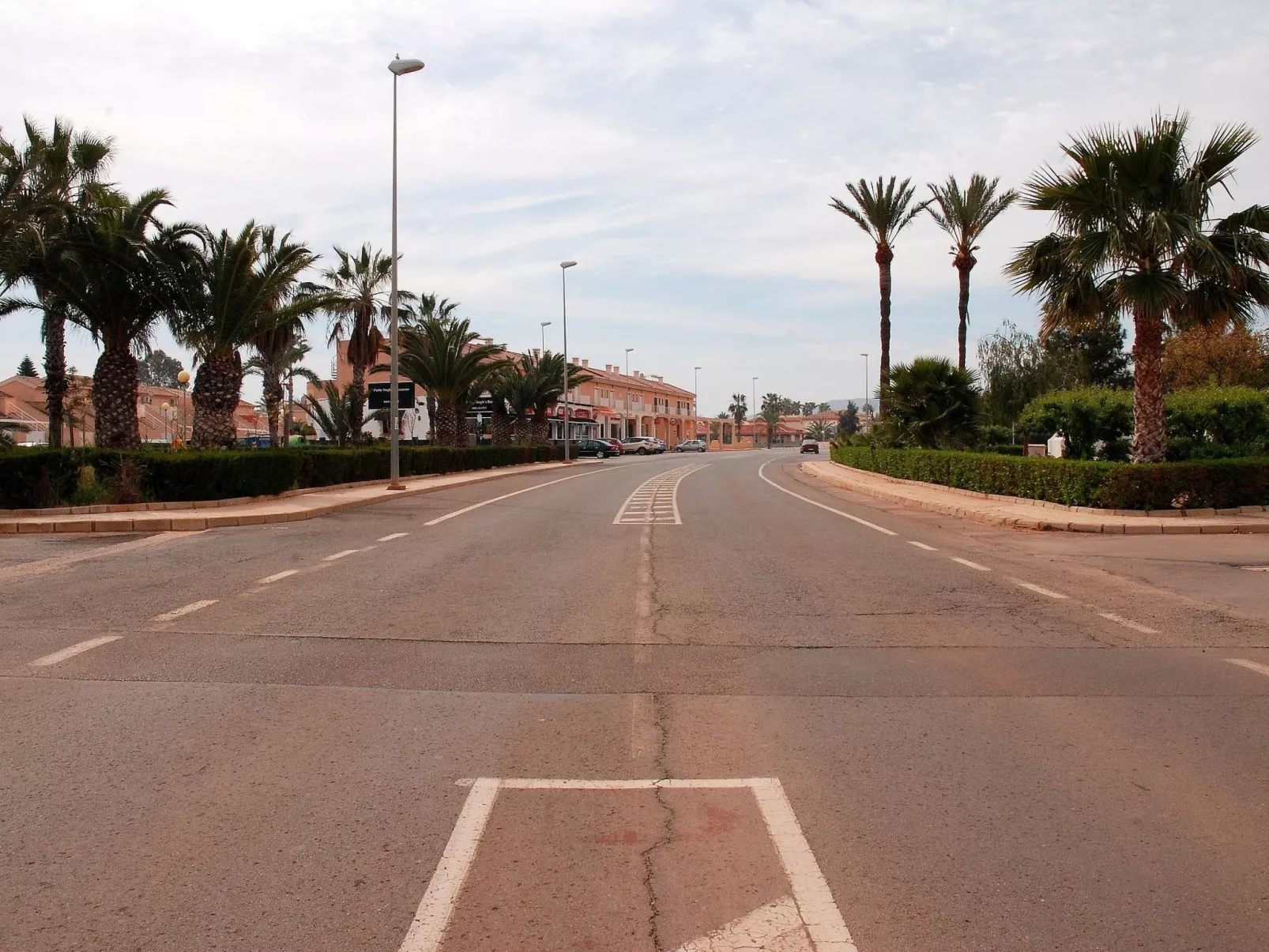 Olivos 8-Image-tags.info