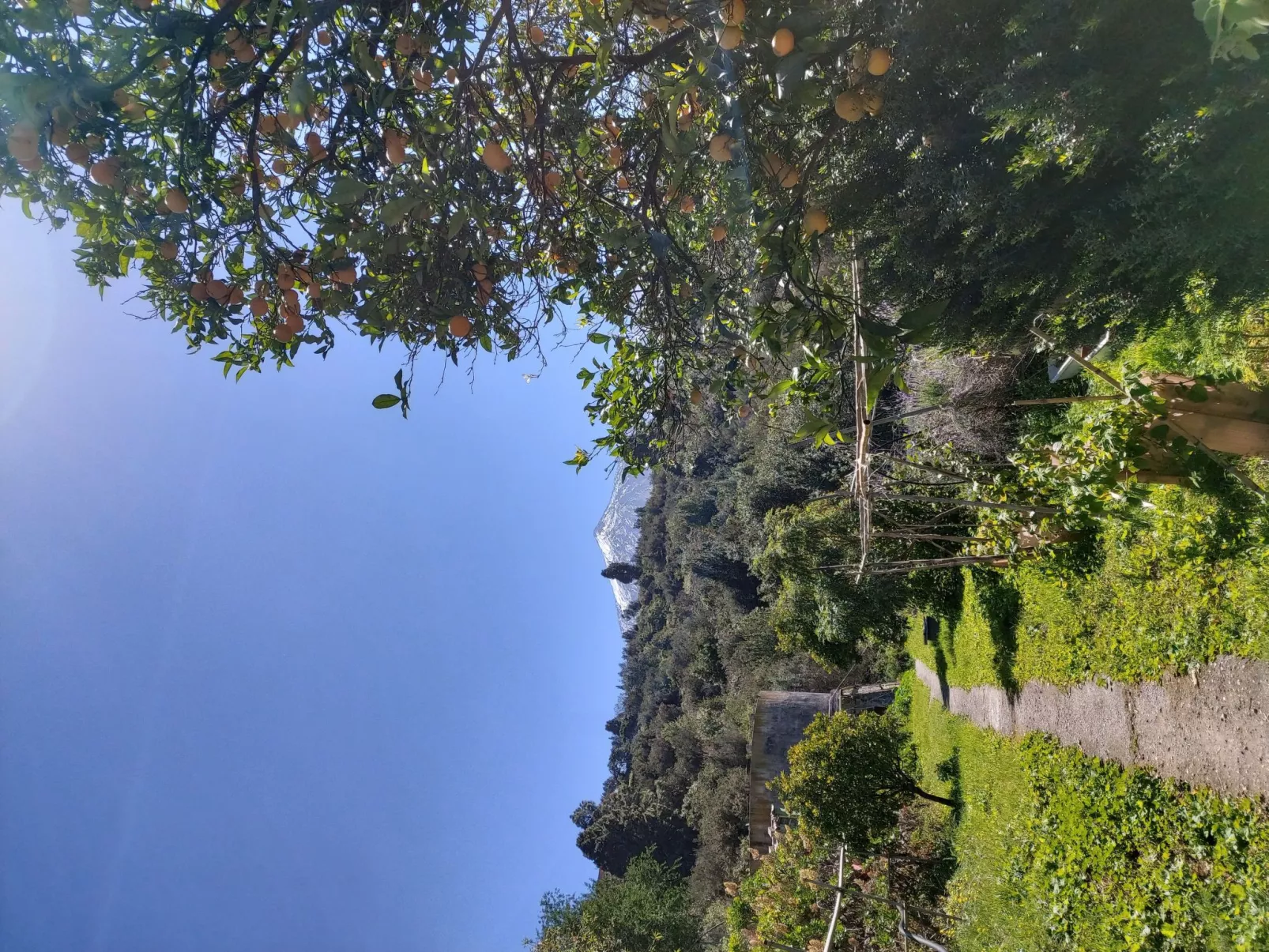 FW Cueva del Viento-Outside