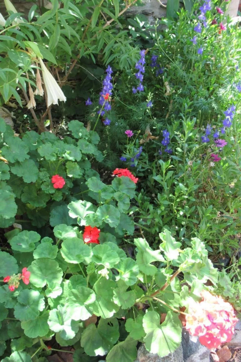 Eine Oase der Ruhe mitten in der Stadt-Dehors