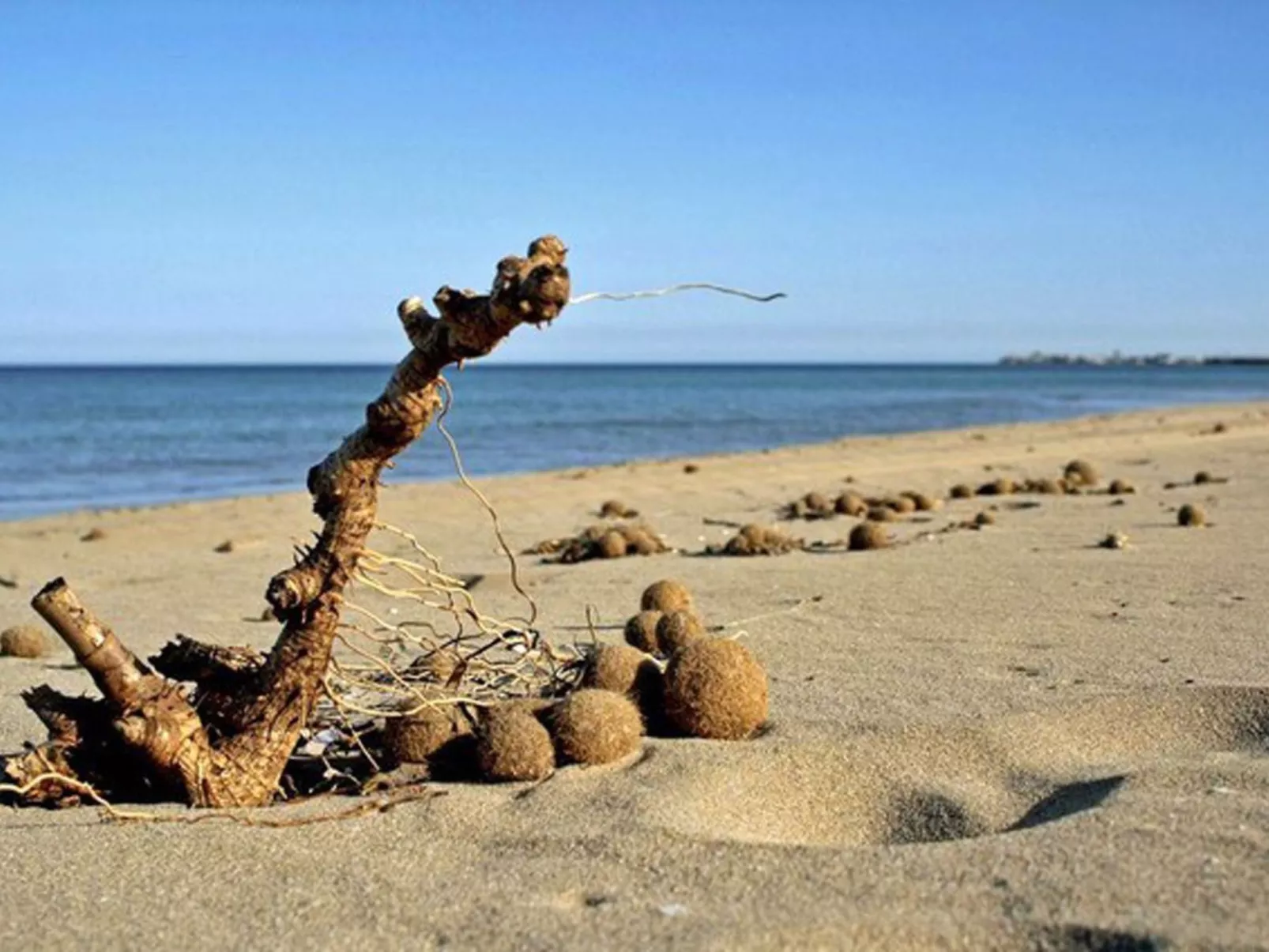 Wohnung 'Villa Cavarra 1-Draußen