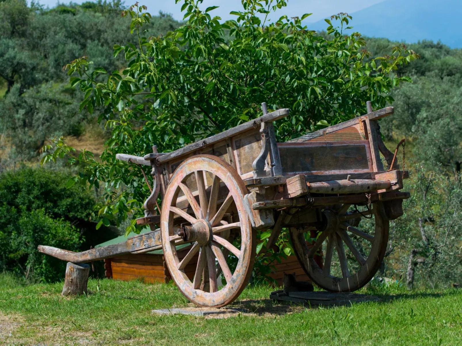 In Quarrata mit Großem Garten-Draußen