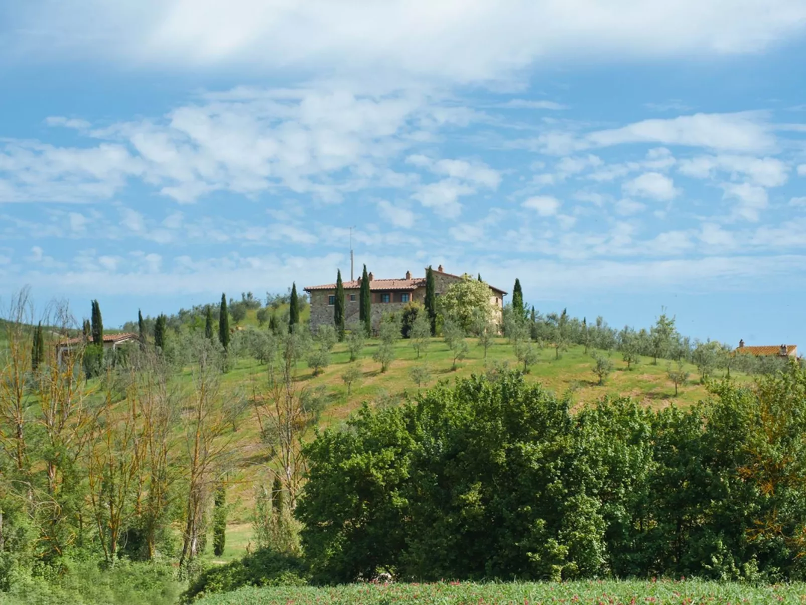 Wohnung "Tulip" mit Gemeinschaftspool-Outside