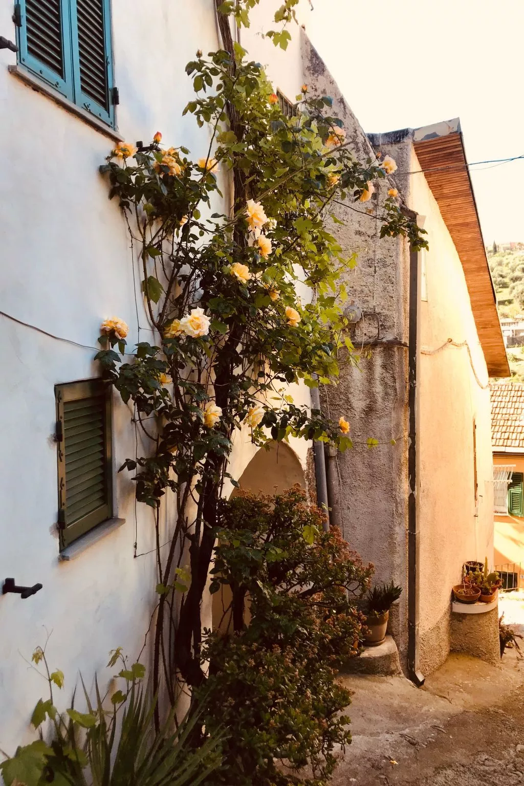 Casa Mediteraneo-Draußen