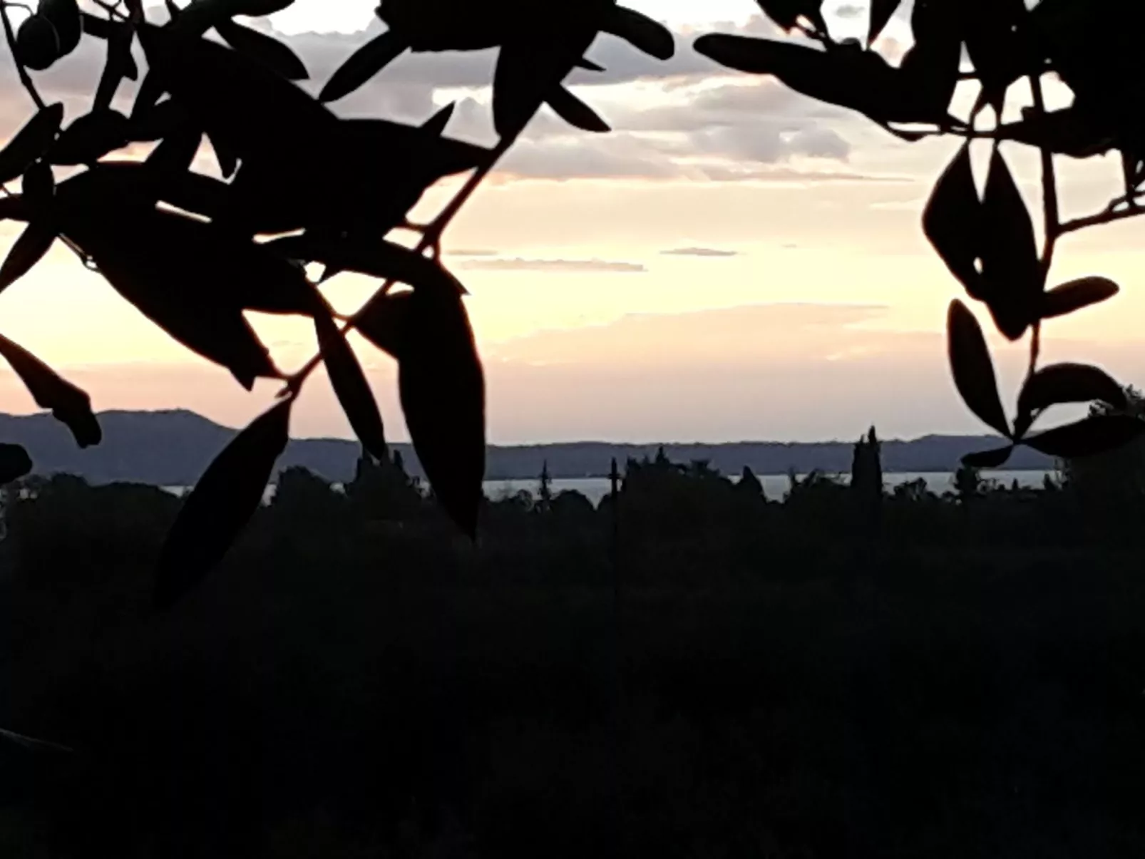 Piccola Perla - Draußen