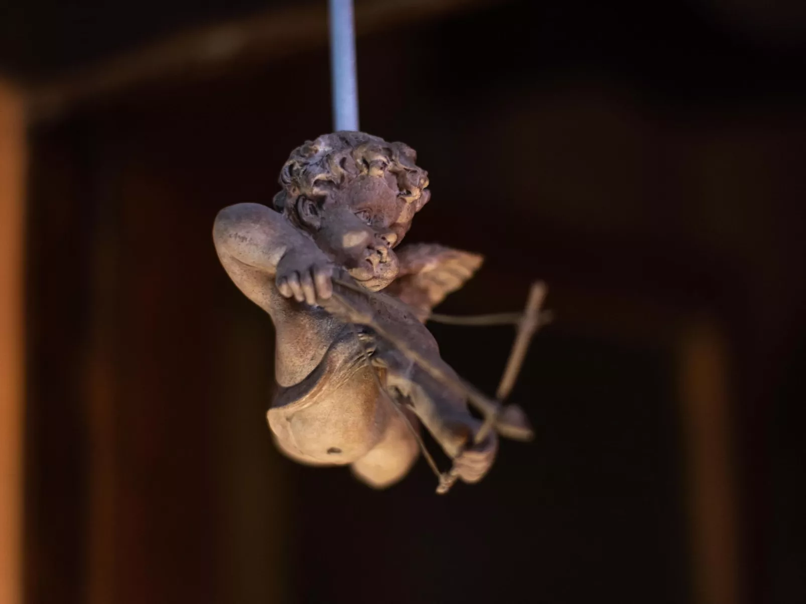 Haubentaucher-Draußen