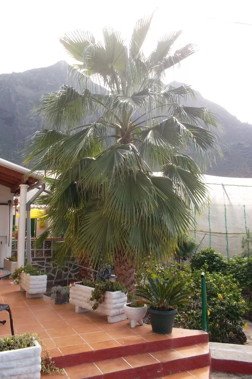 Haus El Cardón A2-Outside