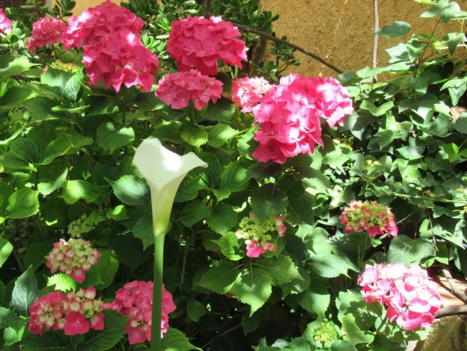 Gemütliches Ferienhaus in Tíjola mit Grill, Garten und Terrasse-Dehors