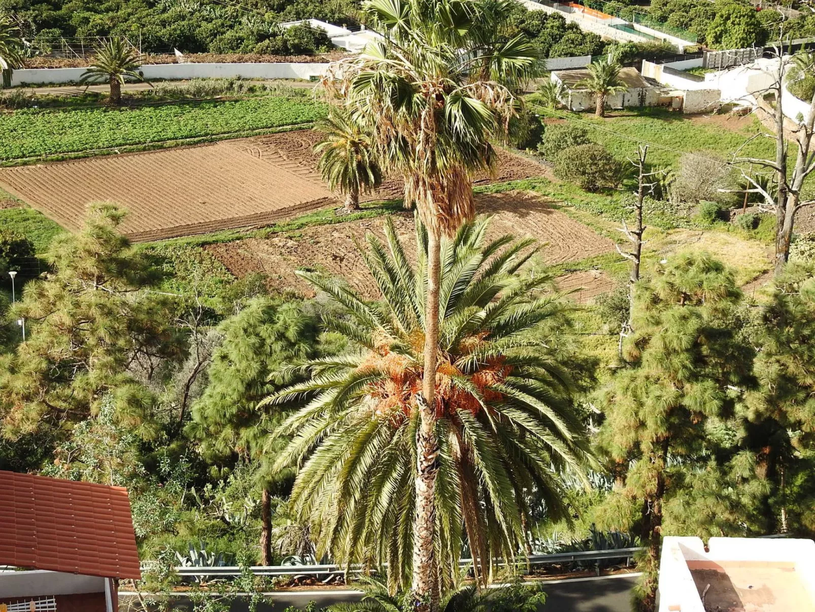 Haus mit beheiztem Schwimmbad, Berg- und Meerbli-Dehors