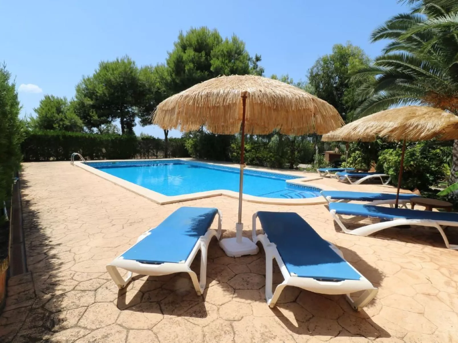 Fi. Camaron-Crestall-Dehors