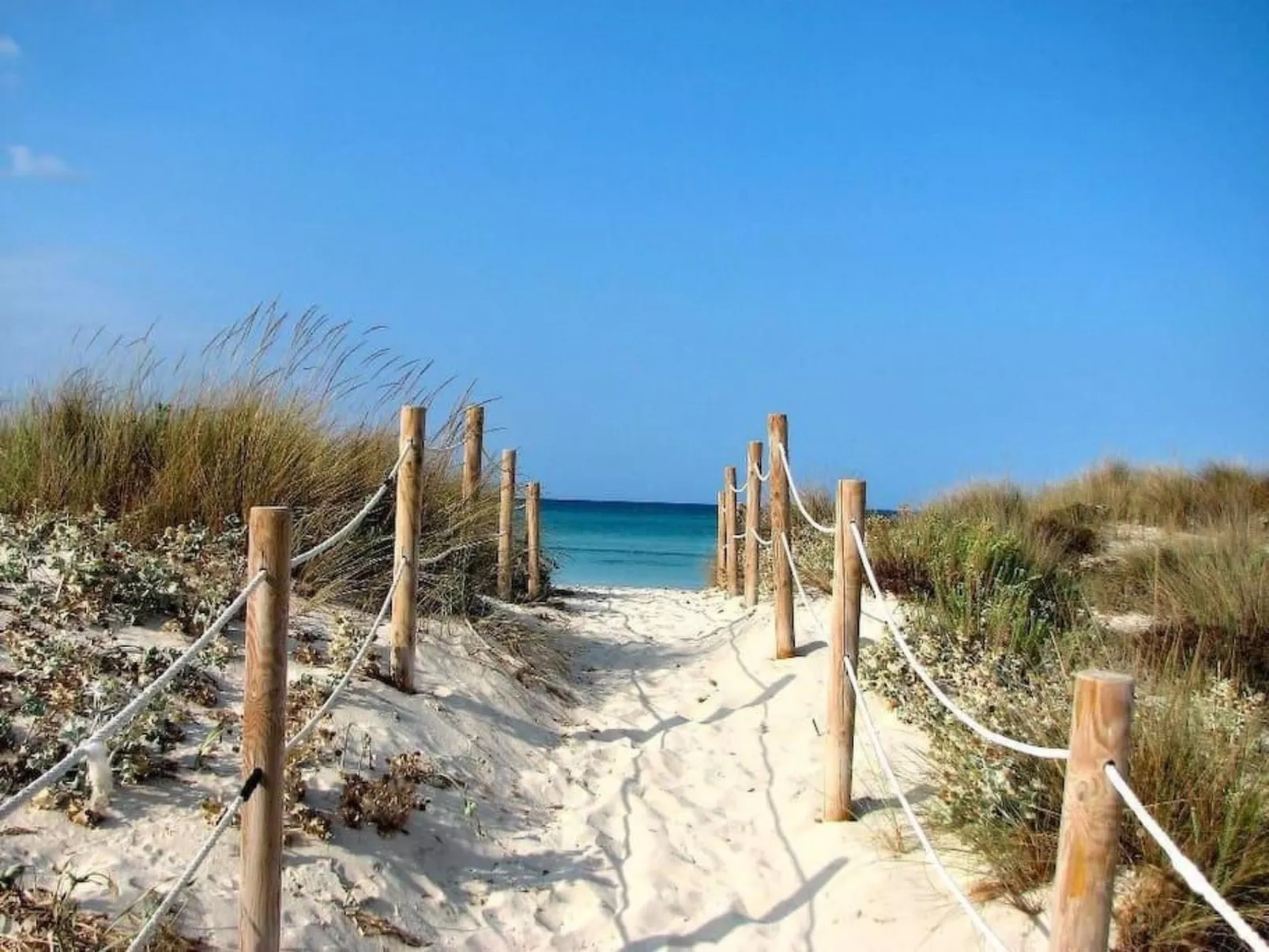 Finca Can Almendro-Dehors