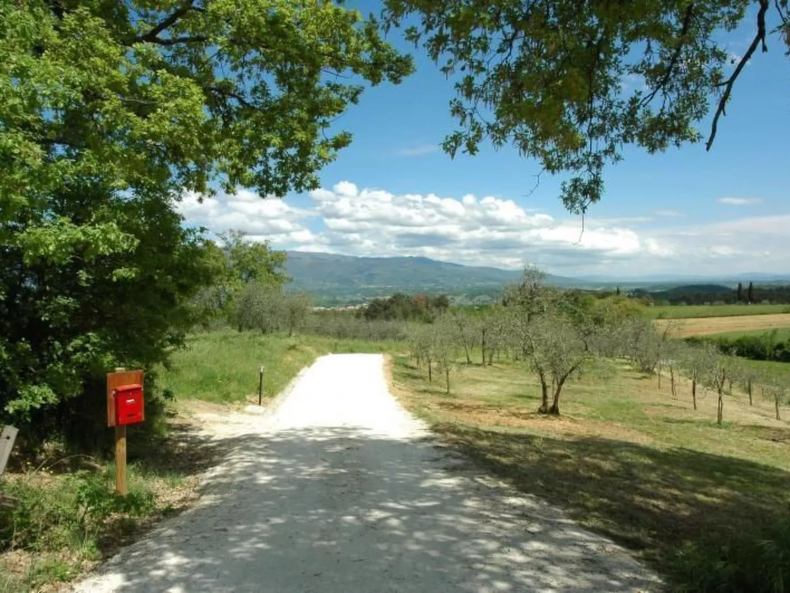 Apartment Rosa Canina (Wilde Rose)-Outside