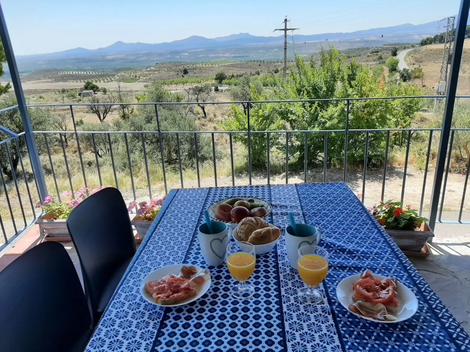 Weingut "Garnacha de Borja".-Outside