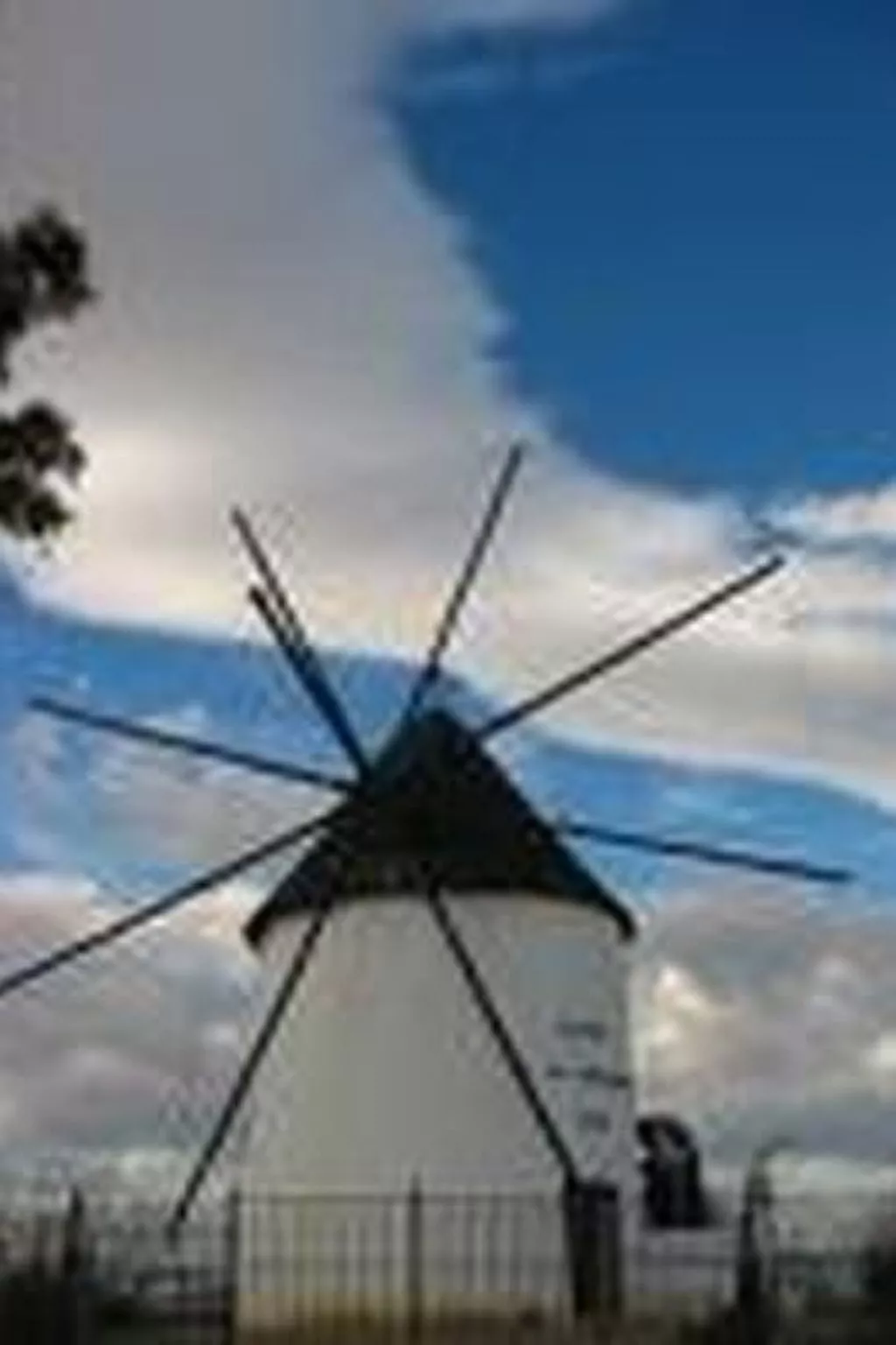 Casa Dolores-Image-tags.info