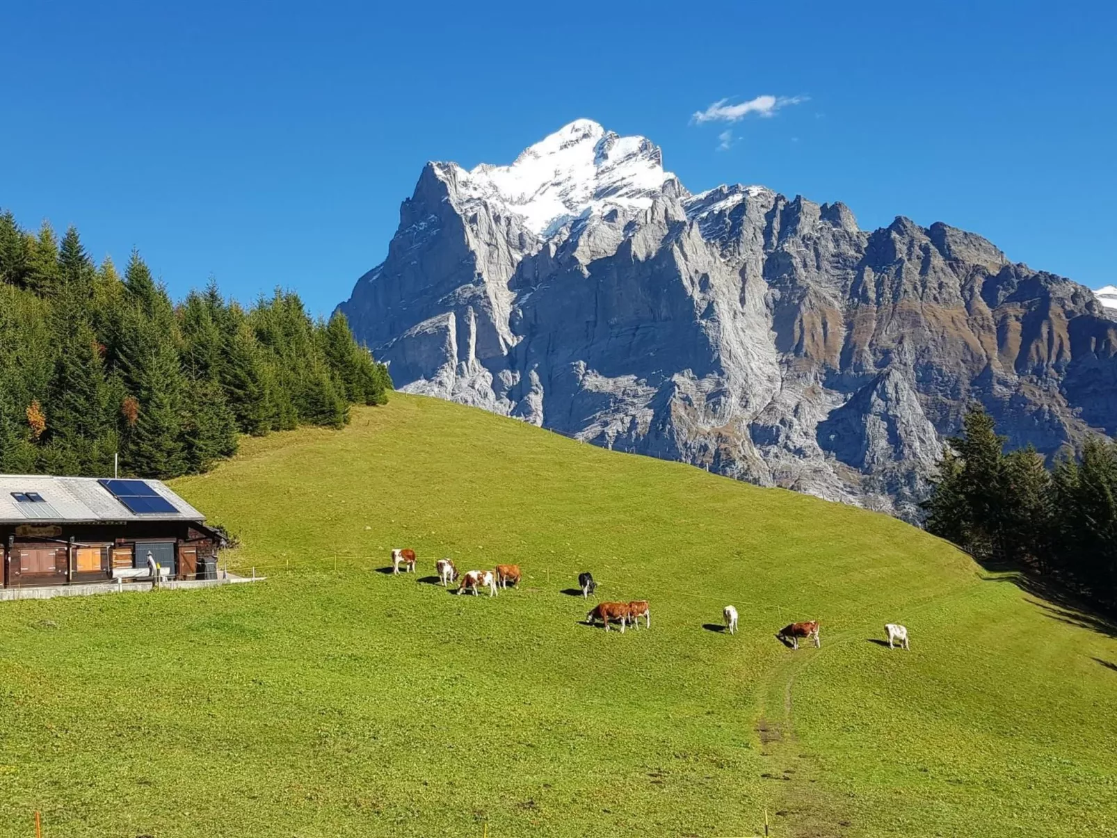 Chalet Gletscherfloh-Dehors