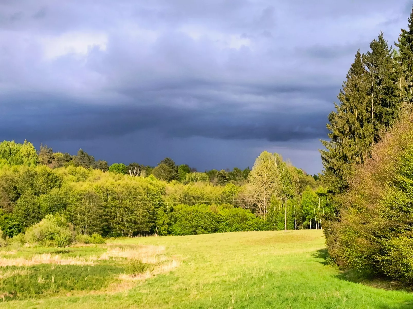 Vogelecke - abseits des Trubels und der Hektik-Draußen