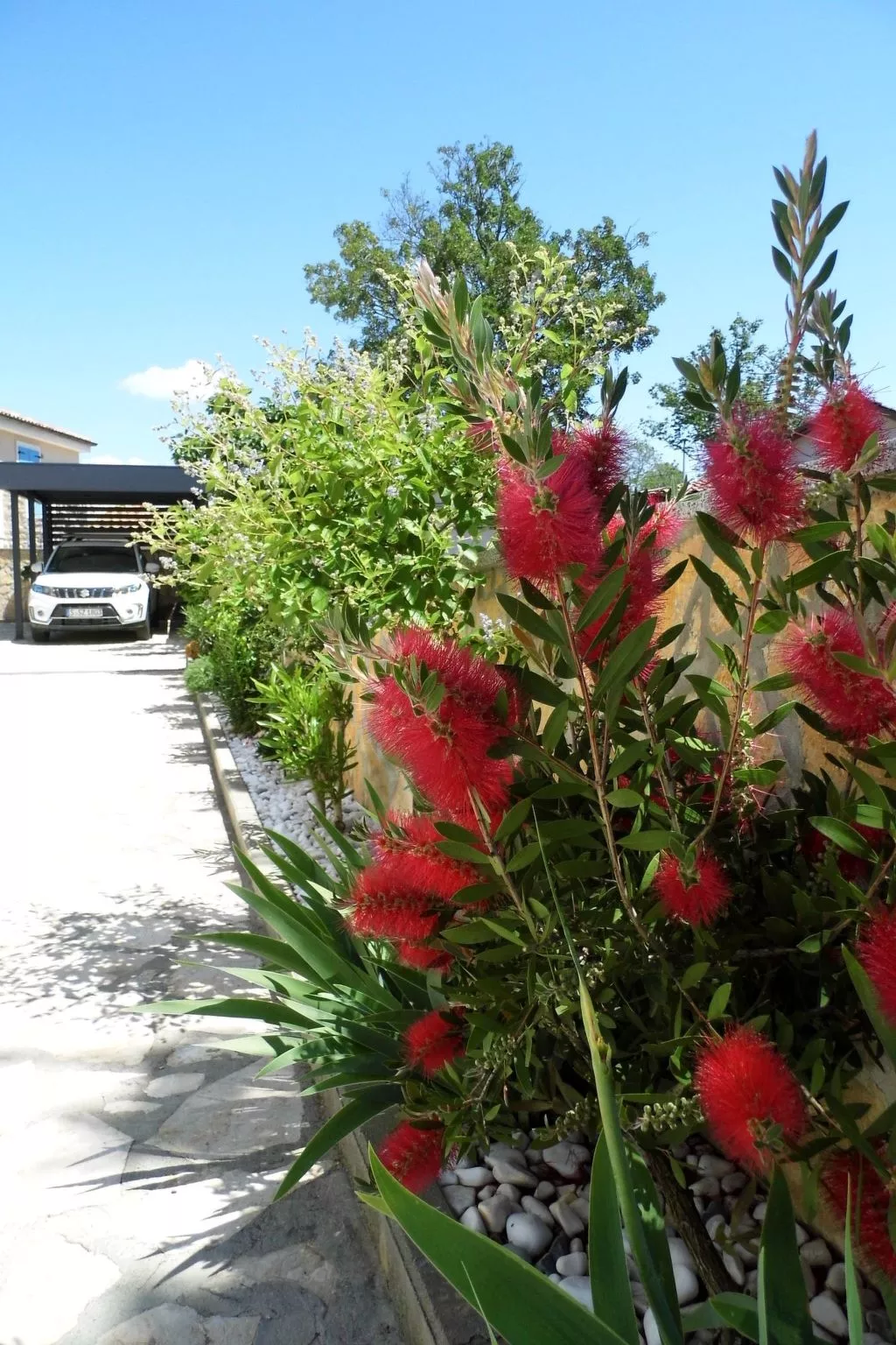 Ausgezeichnete neue und moderne Wohnung