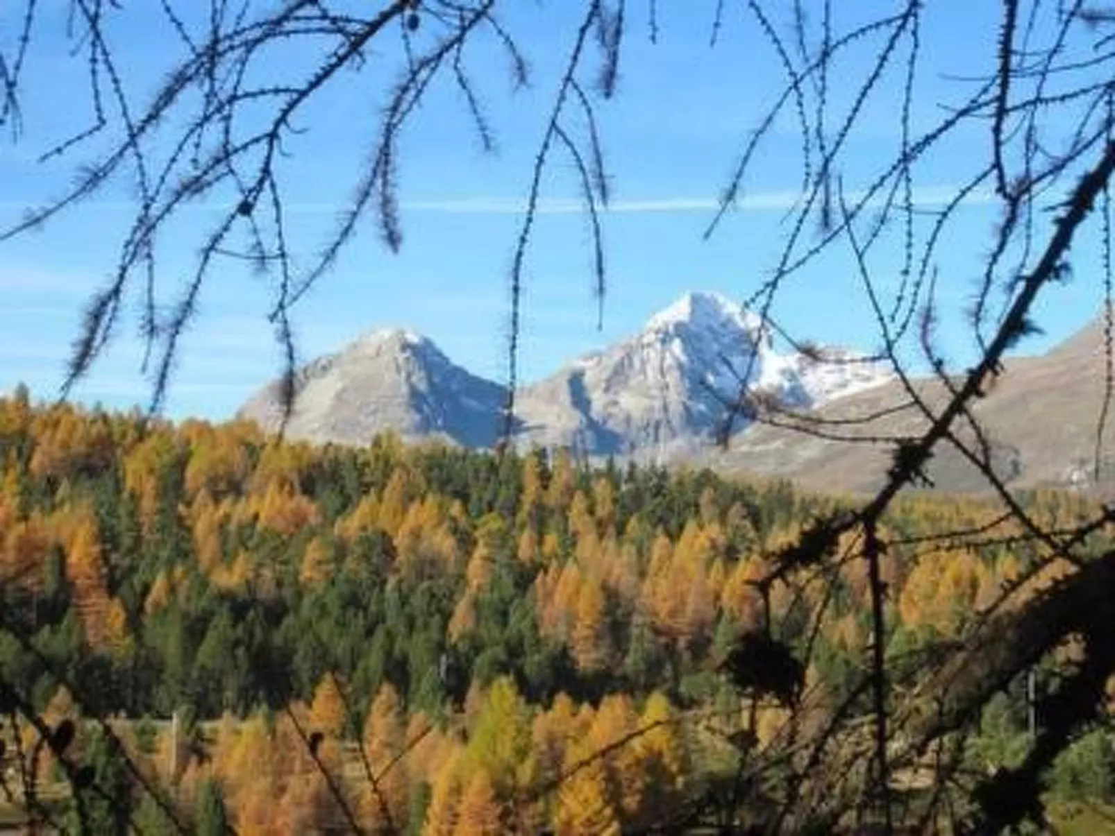 Chesa Basilisk 1 - ÖV inklusive-Draußen