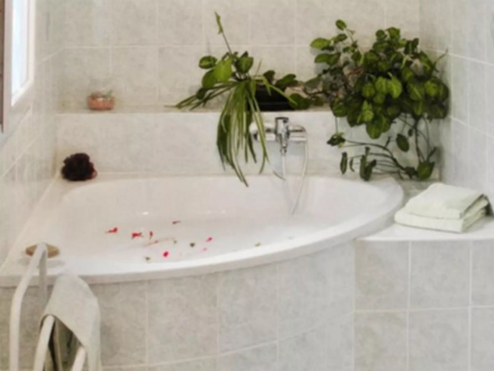 Mit Blick auf das Wasser-Dedans