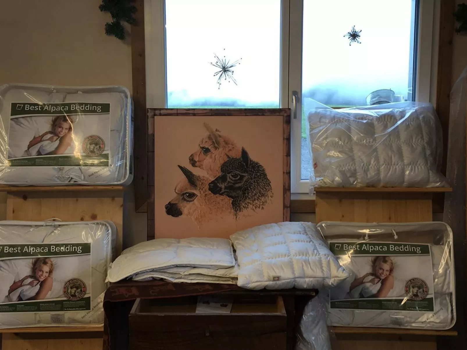 Alpakahof Ferien-Dedans