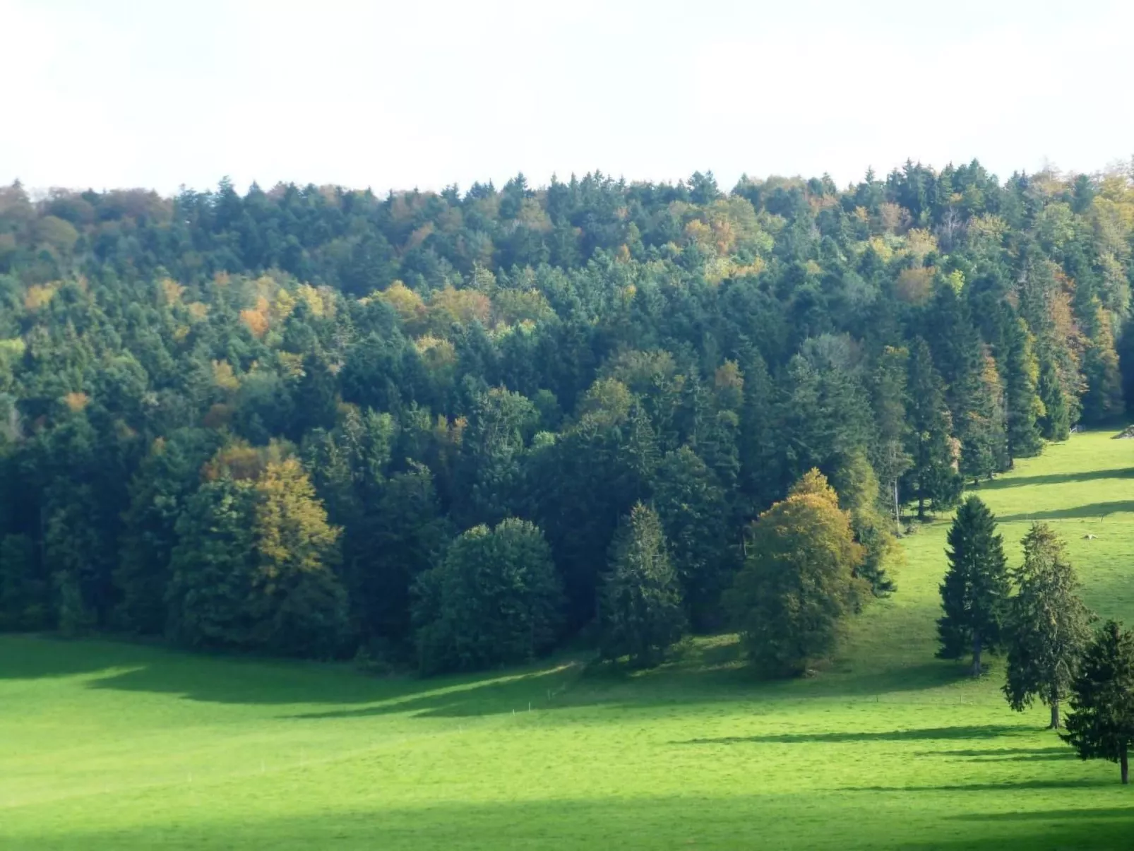 Chalet Désir, Lajoux-Draußen