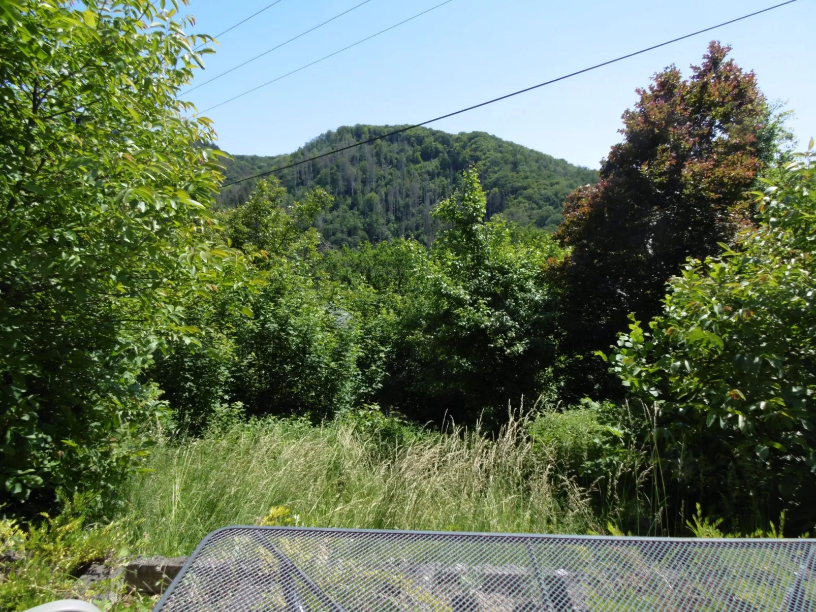 In Waldbreitbach mit Whirlpool - Dehors