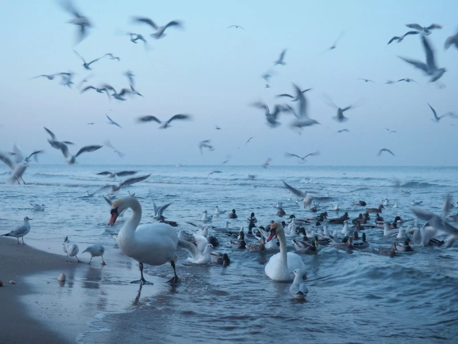 Wohnung in Brzeźno mit Großem Garten-Draußen