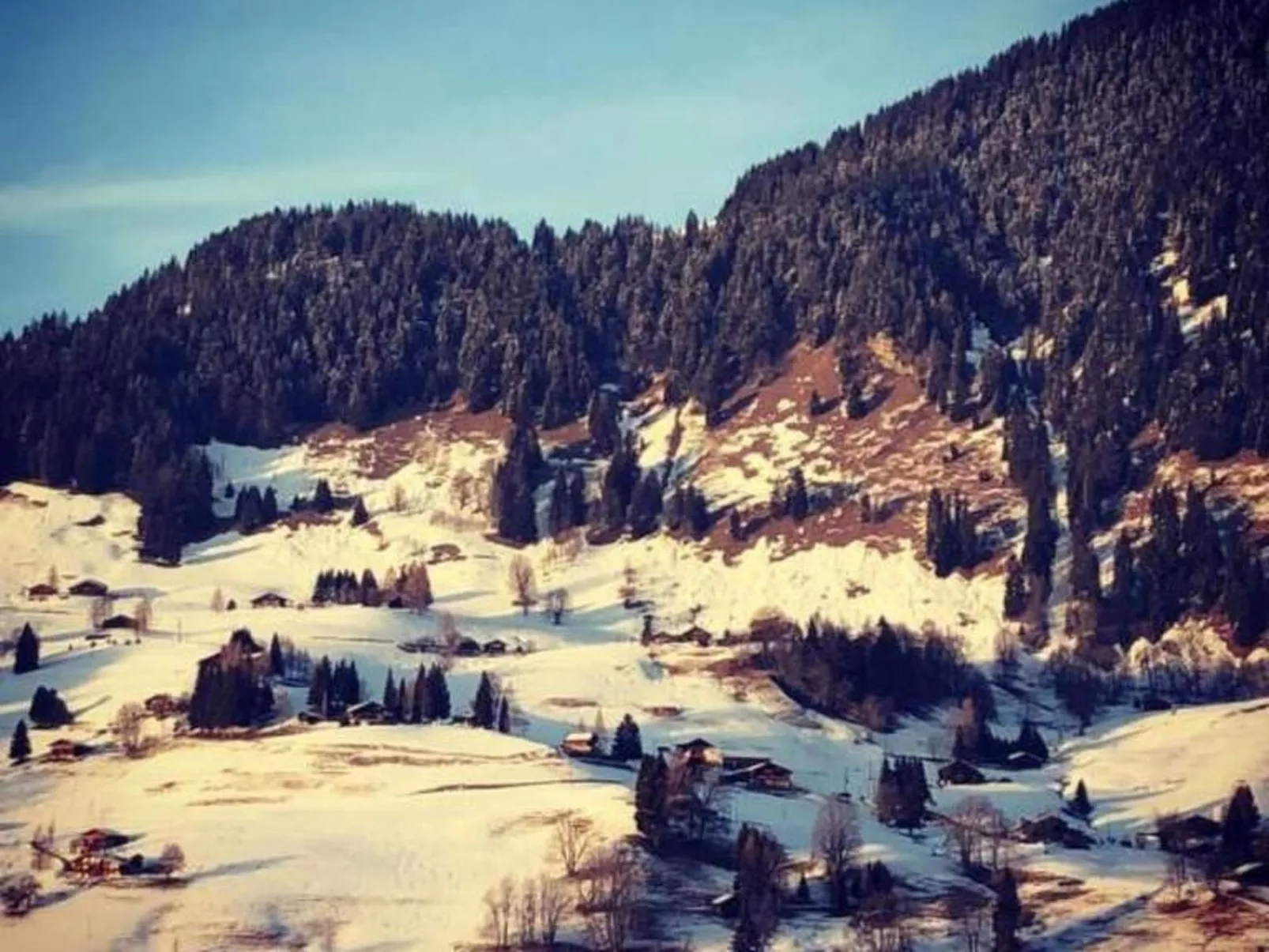 Authentisches Schweizer Alpenchalet aus dem 18. Jh.-Dehors