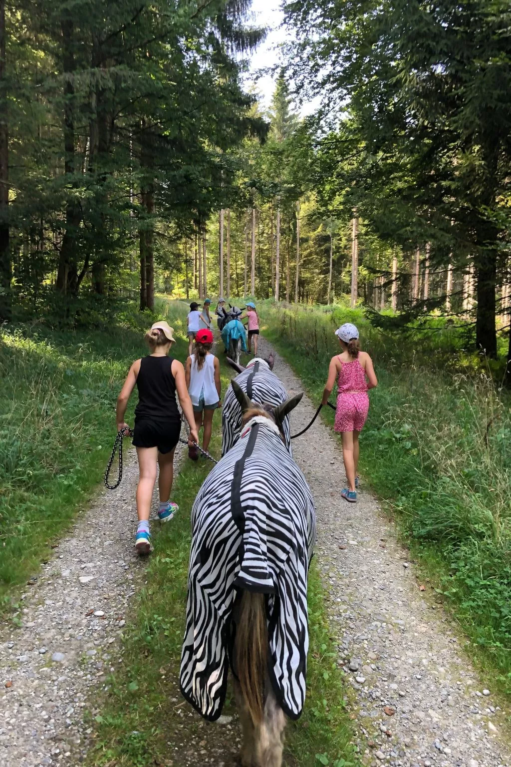 Tieroase Grünegg-Image-tags.info