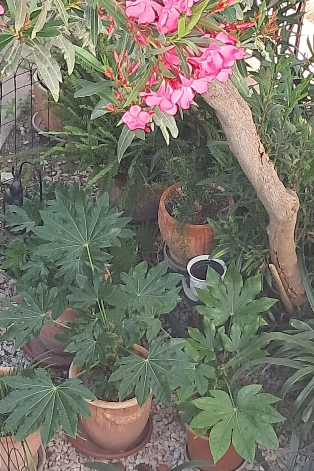 Wohnung "Sibenik centar"