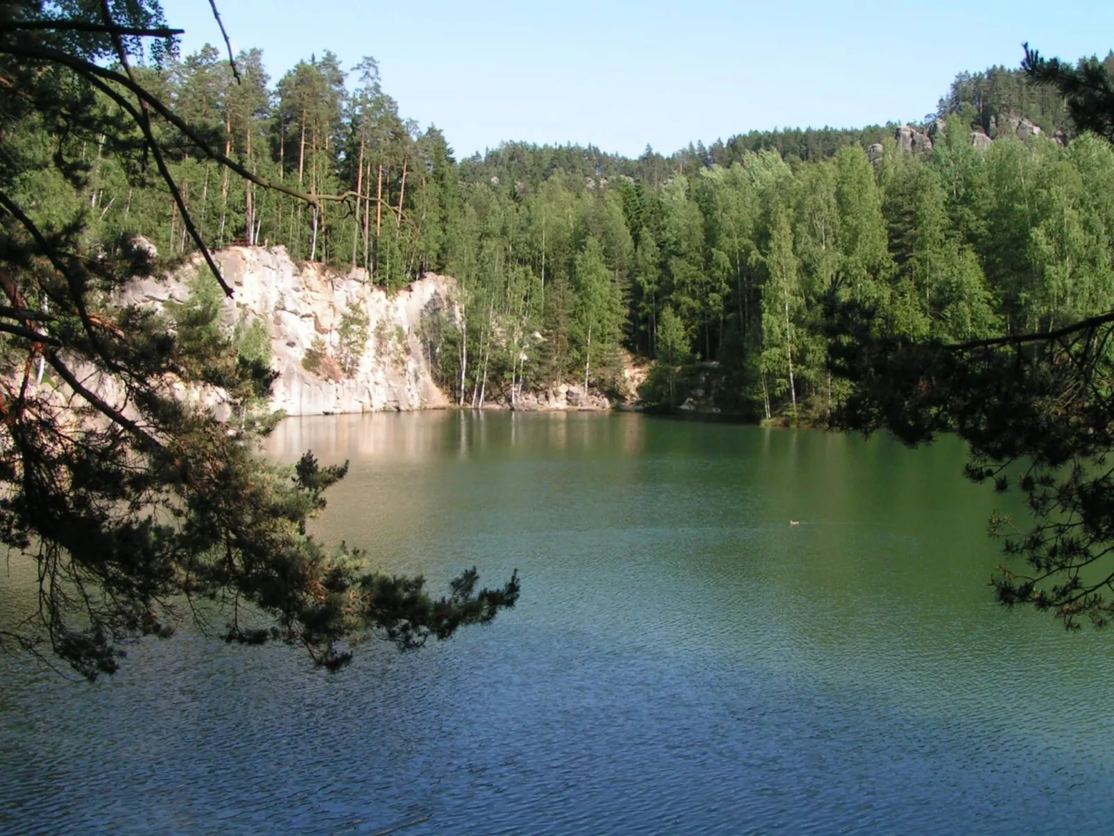 In natürlicher Umgebung-Draußen