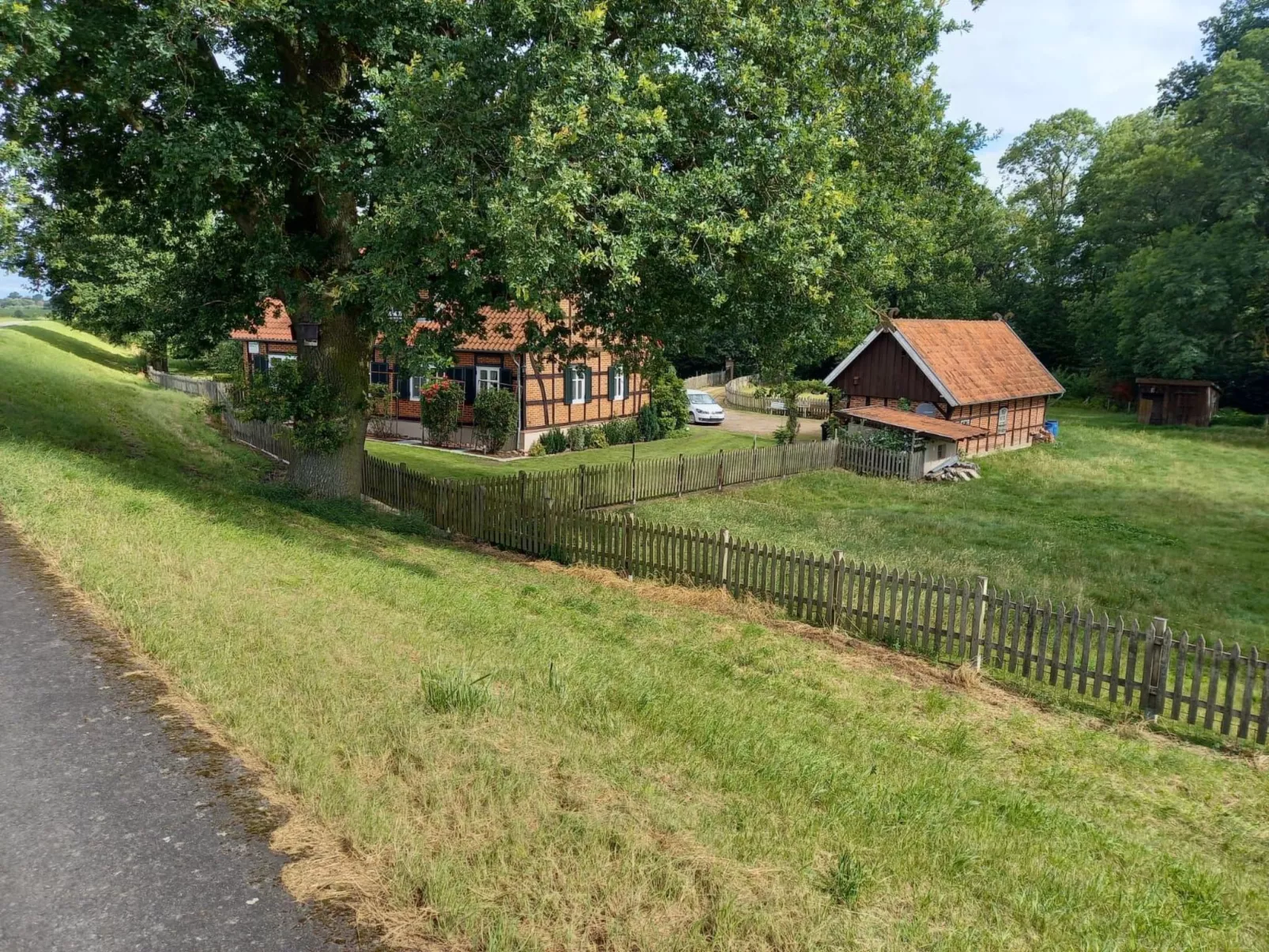Haus Elbrose inmitten von Rosen mit Elbdeichzugang-Dehors
