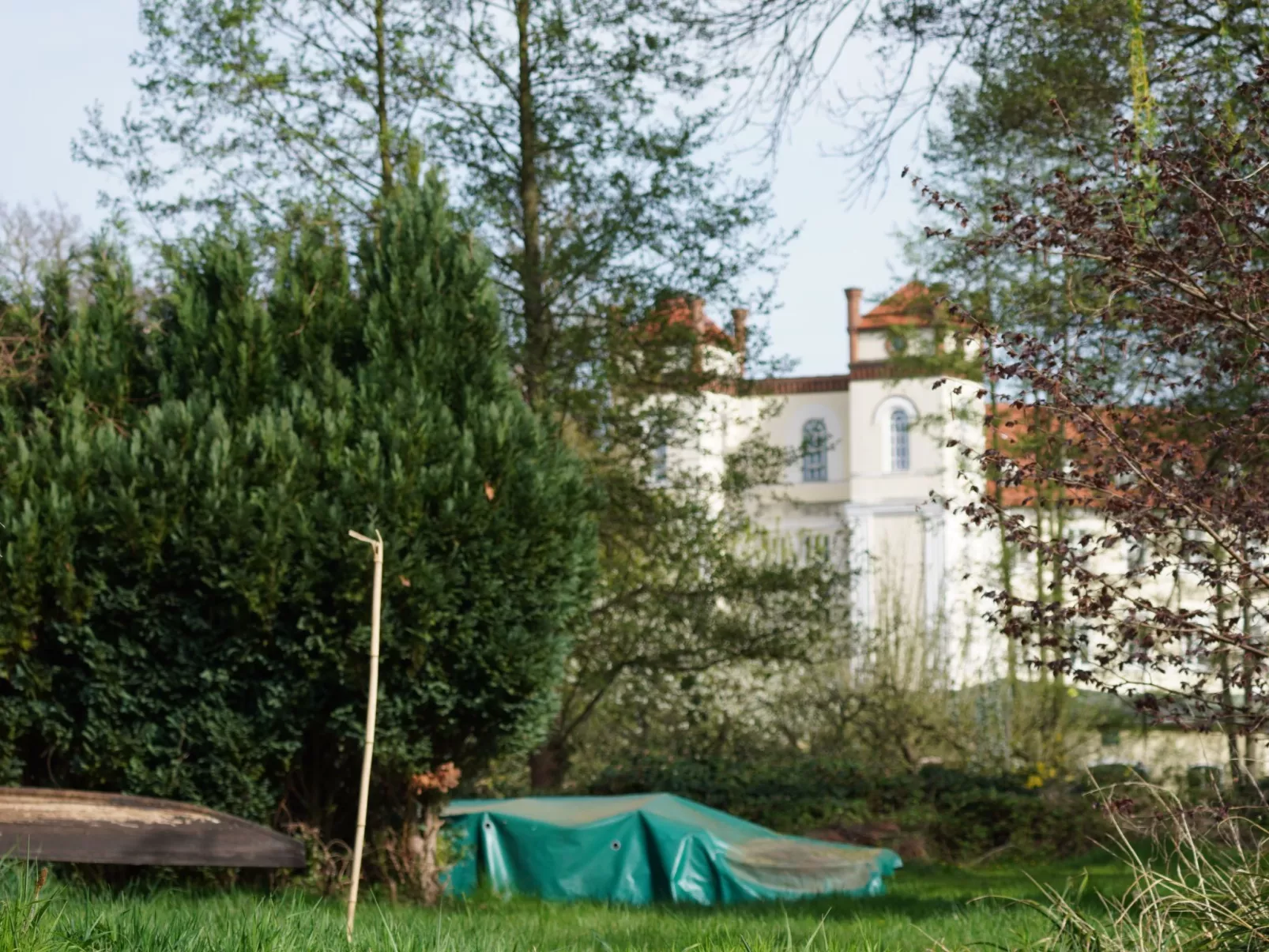 Paradies-Image-tags.info