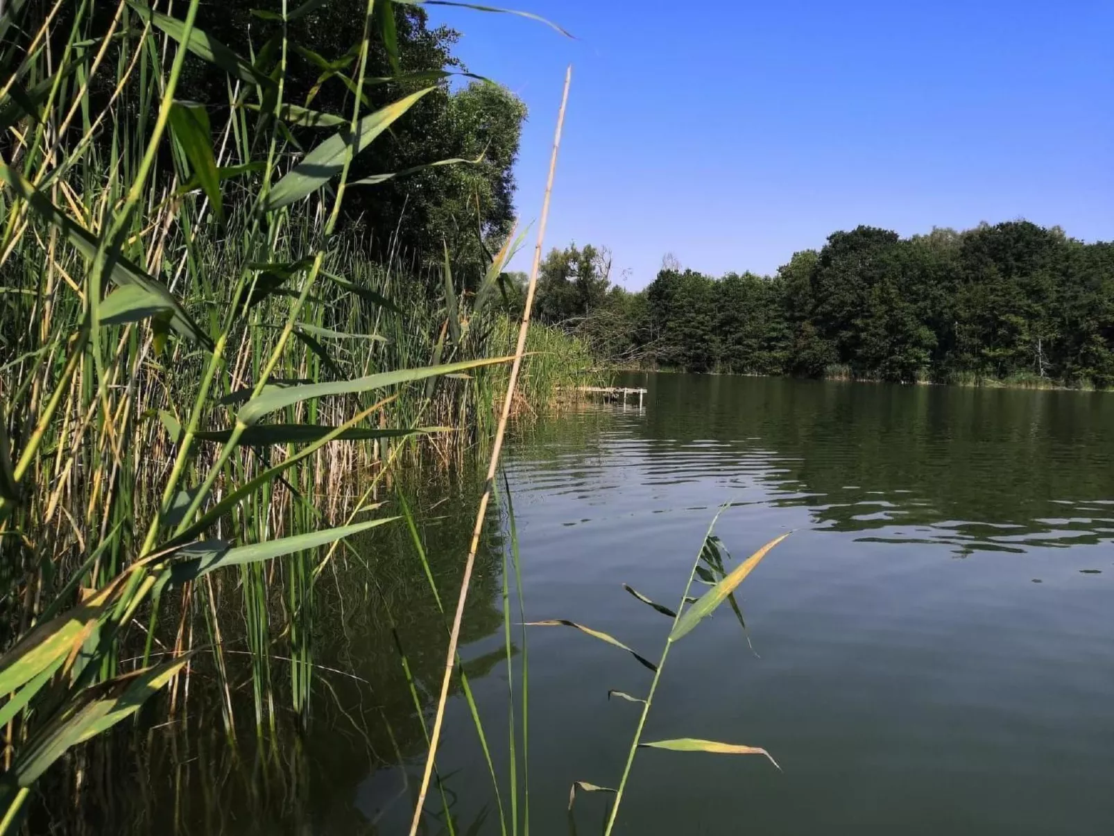 "Ferienhaus GolczaVita"-Outside