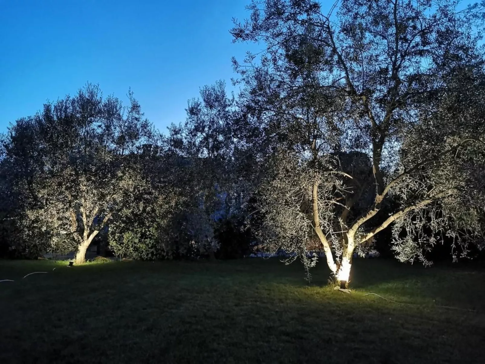 Ferienvilla mit eigenem Garten und Grill-Outside