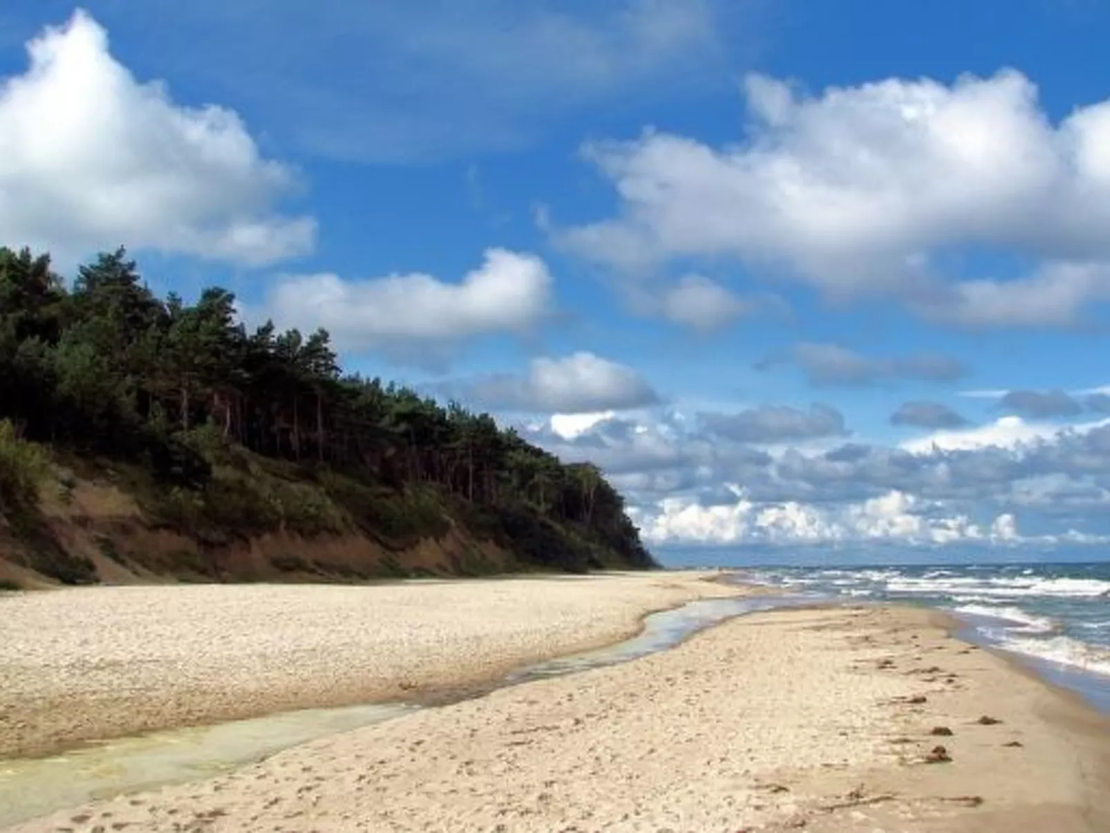 Double Bernstein-Image-tags.info