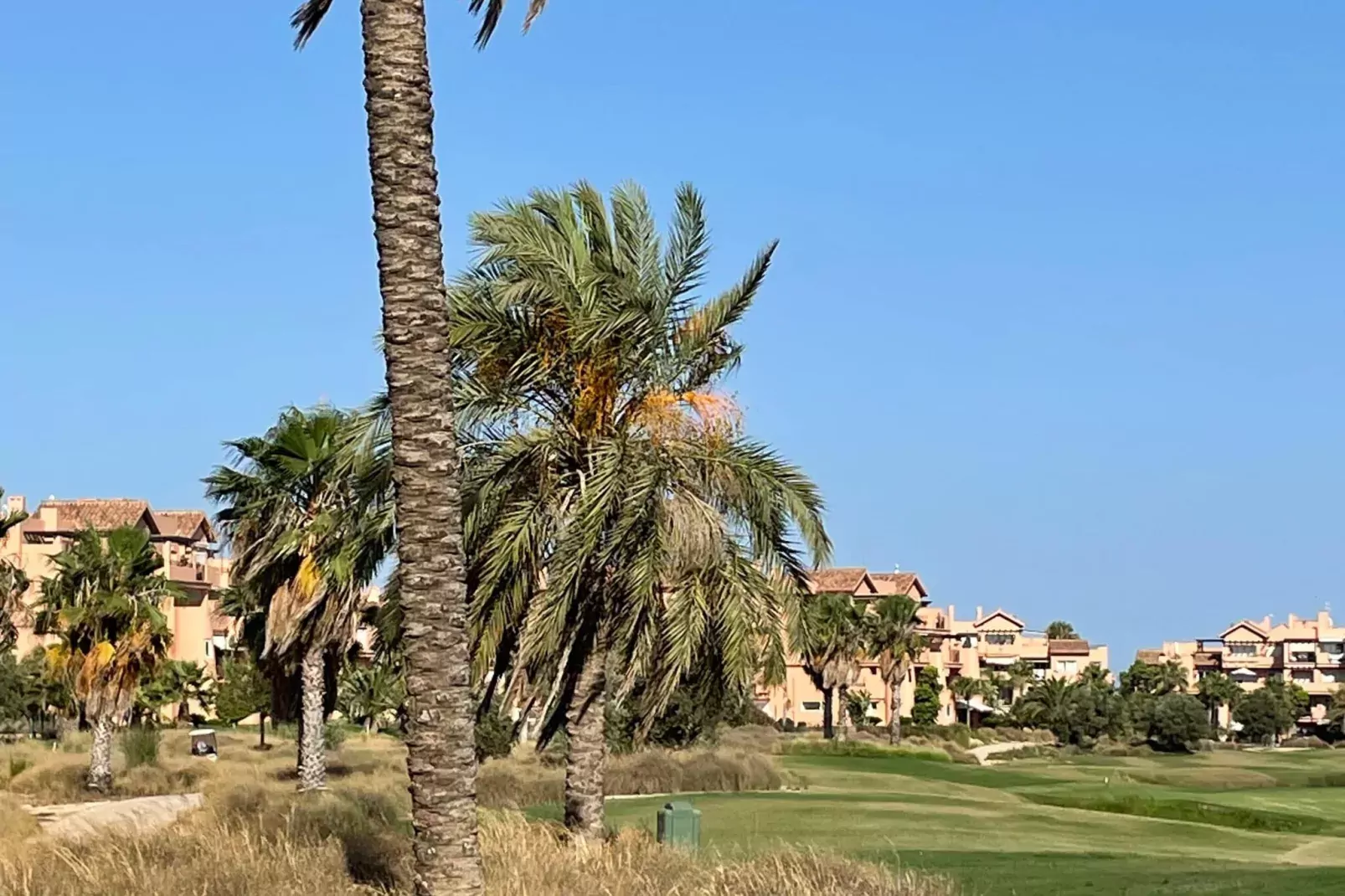 Mar Menor-Gardens summer