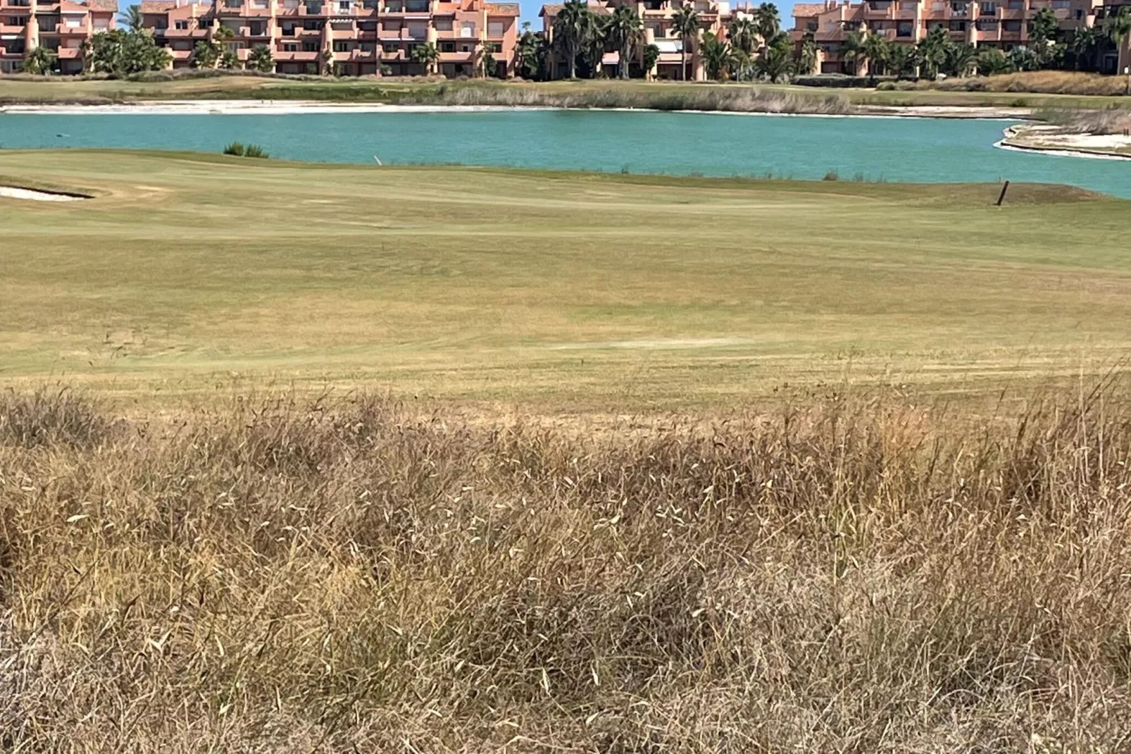 Mar Menor-Areas summer 1km