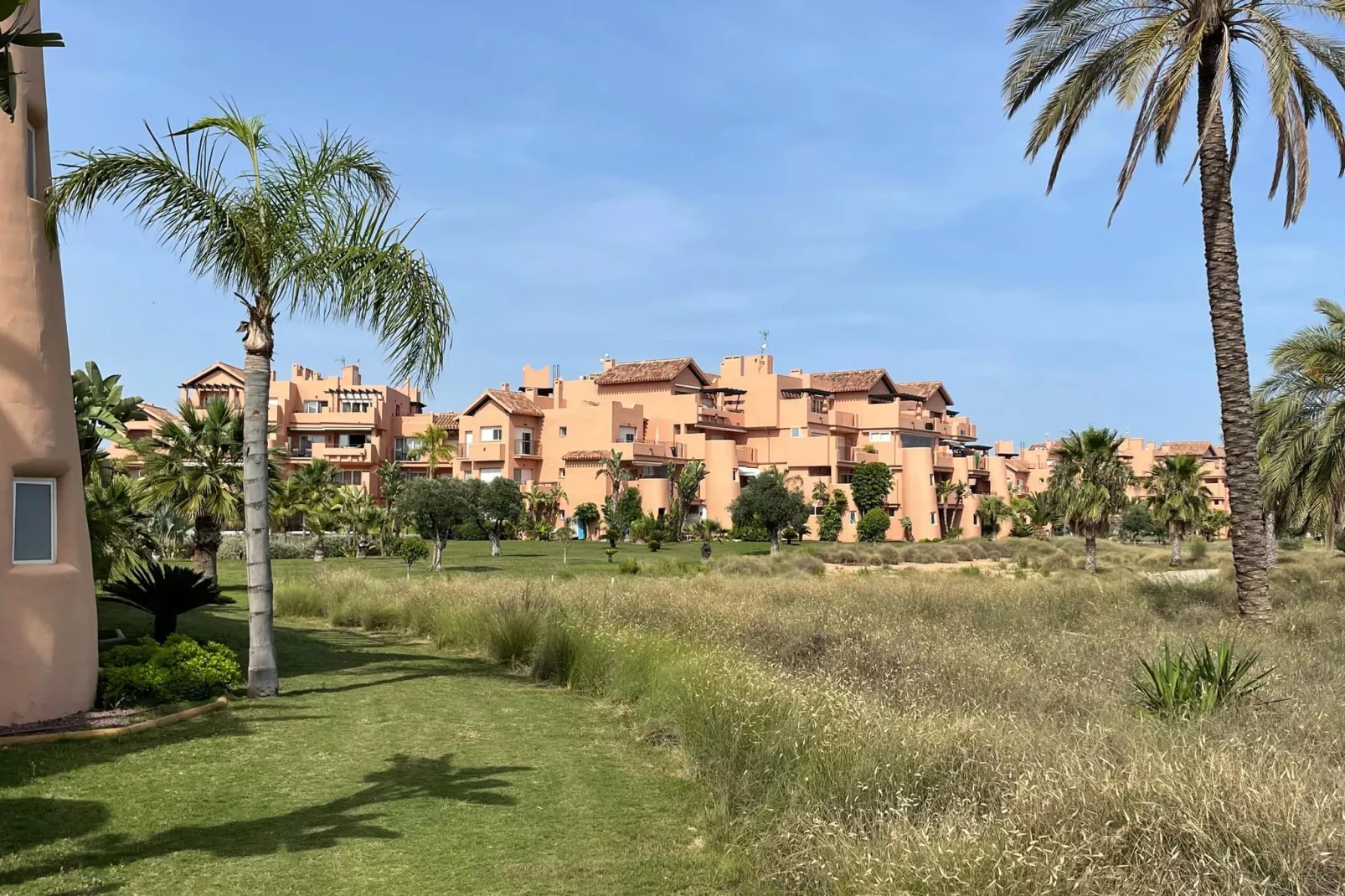Mar Menor-Areas summer 1km