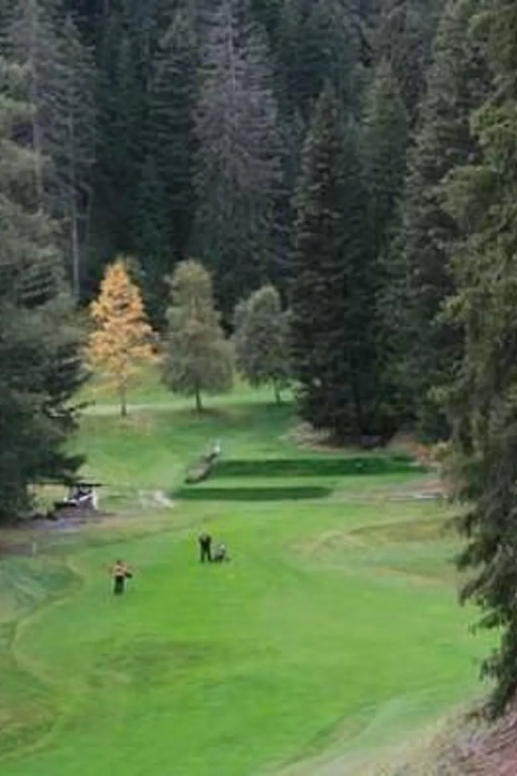 Alte typische Engadinermühle-Draußen