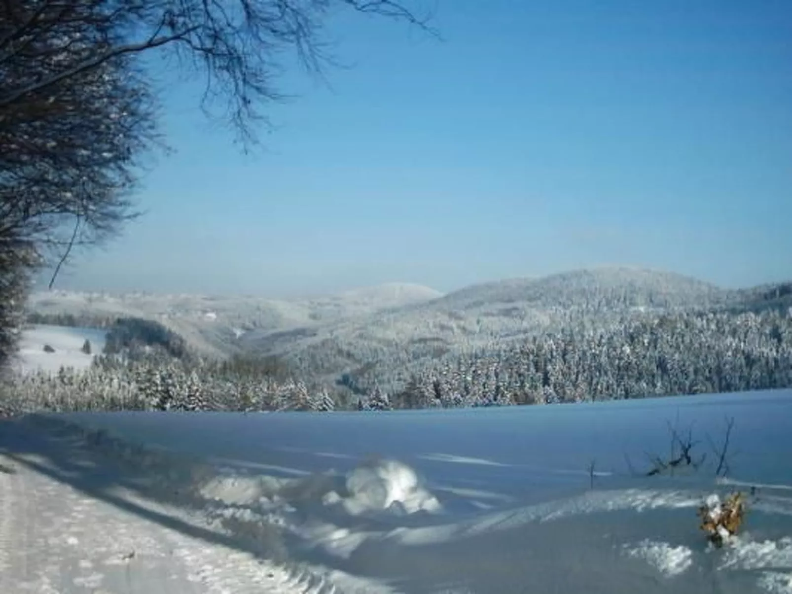 Haus "Hermann"-Outside